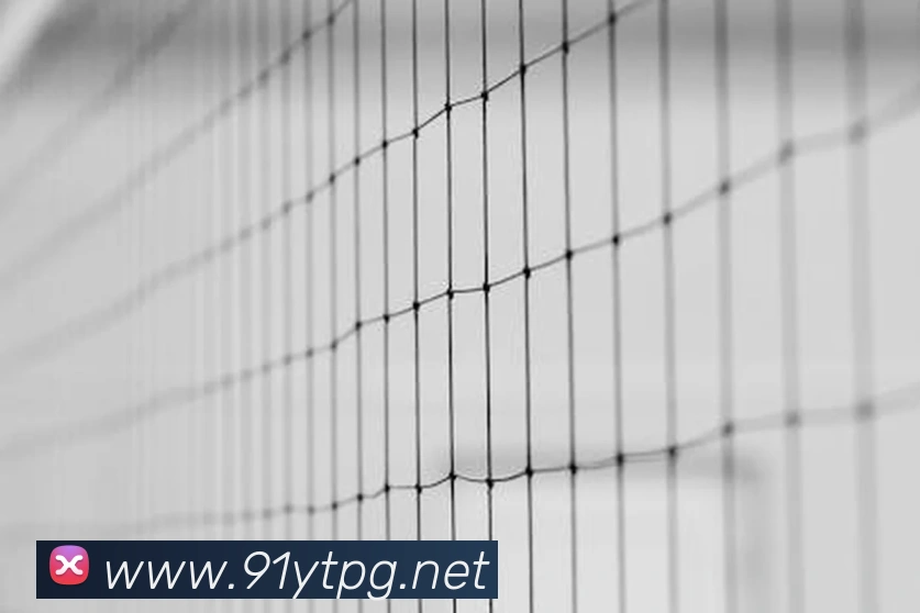 pg官网品牌故事